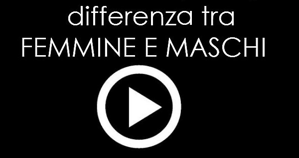 Principale Differenza Tra Femmine E Maschi Video Rivelazioni Com